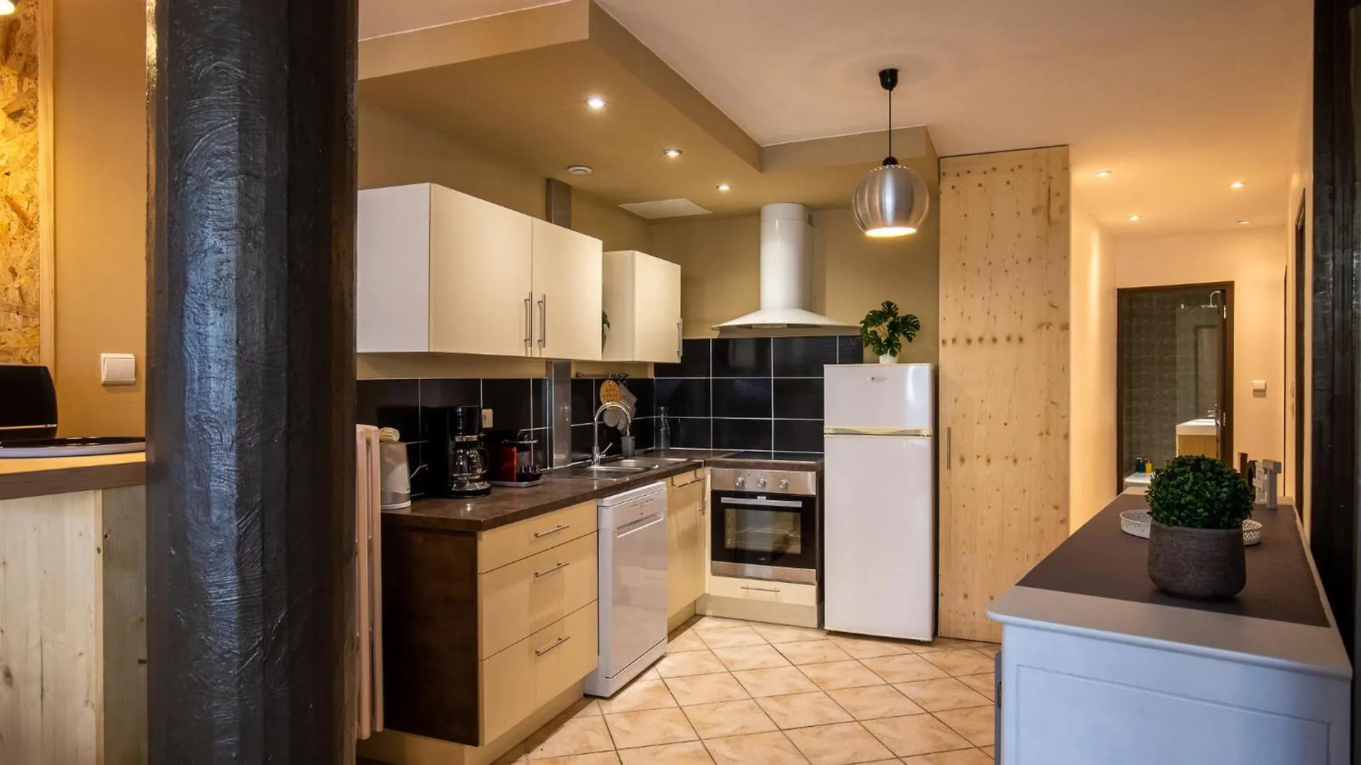 Loft Spacieux Chambéry Apartman